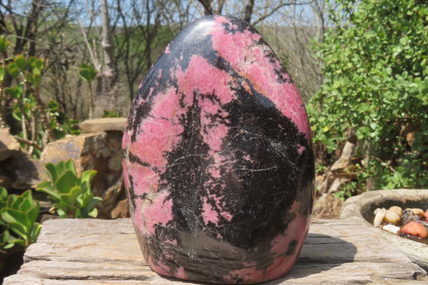 Polished Rhodonite Display Piece x 1 From Madagascar