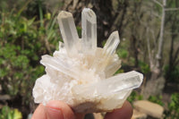 Natural Clear Quartz Crystal Clusters x 7 From Madagascar