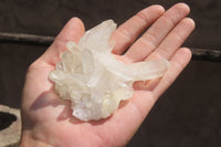 Natural Clear Quartz Crystal Clusters x 7 From Madagascar