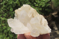 Natural Clear Quartz Crystal Clusters x 7 From Madagascar