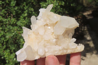 Natural Clear Quartz Crystal Clusters x 7 From Madagascar