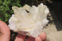 Natural Clear Quartz Crystal Clusters x 7 From Madagascar