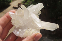 Natural Clear Quartz Crystal Clusters x 7 From Madagascar