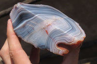 Polished On One Side Red Sashe River Agate Nodules x 3 From Zimbabwe