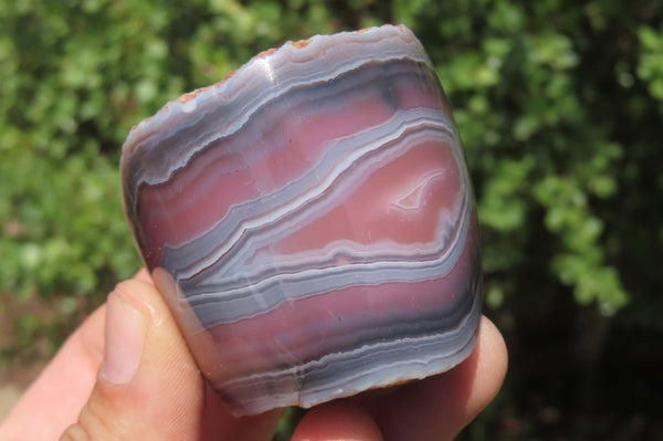 Polished On One Side Red Sashe River Agate Nodules x 3 From Zimbabwe