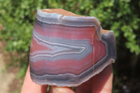 Polished On One Side Red Sashe River Agate Nodules x 3 From Zimbabwe