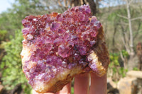 Natural Amethystos Amethyst Plates x 12 From Kwaggafontein, South Africa