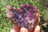 Natural Amethystos Amethyst Plates x 12 From Kwaggafontein, South Africa