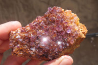 Natural Amethystos Amethyst Plates x 12 From Kwaggafontein, South Africa