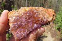 Natural Amethystos Amethyst Plates x 12 From Kwaggafontein, South Africa