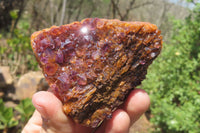 Natural Amethystos Amethyst Plates x 12 From Kwaggafontein, South Africa