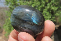 Polished Labradorite Palm Stones x 20 From Tulear, Madagascar