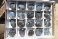 Polished Labradorite Palm Stones x 20 From Tulear, Madagascar