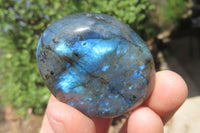 Polished Labradorite Palm Stones x 20 From Tulear, Madagascar