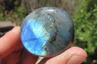 Polished Labradorite Palm Stones x 20 From Tulear, Madagascar