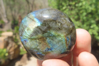 Polished Labradorite Palm Stones x 20 From Tulear, Madagascar