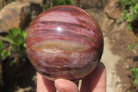 Polished Red Podocarpus Petrified Wood Sphere & Dish x 2 From Madagascar