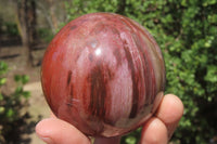 Polished Red Podocarpus Petrified Wood Sphere & Dish x 2 From Madagascar