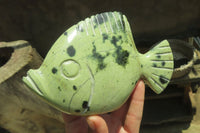 Polished Leopard Stone Fish Carvings x 3 From Zimbabwe