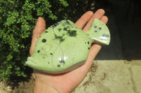 Polished Leopard Stone Fish Carvings x 3 From Zimbabwe