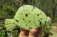 Polished Leopard Stone Fish Carvings x 3 From Zimbabwe