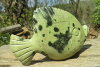 Polished Leopard Stone Fish Carvings x 3 From Zimbabwe