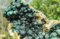 Natural Ball Malachite On Quartz Matrix Specimens x 2 From Kambove, Congo