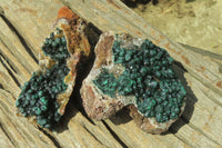 Natural Ball Malachite On Quartz Matrix Specimens x 2 From Kambove, Congo