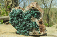 Natural Ball Malachite On Quartz Matrix Specimens x 2 From Kambove, Congo