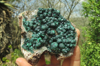 Natural Ball Malachite On Quartz Matrix Specimens x 2 From Kambove, Congo