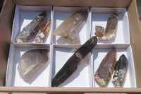 Natural Smokey Quartz Crystals x 8 From Zomba, Malawi