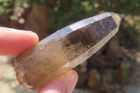 Natural Smokey Quartz Crystals x 8 From Zomba, Malawi