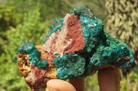 Natural Dioptase & Malachite Dolomite Specimen x 1 From Congo