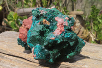 Natural Dioptase & Malachite Dolomite Specimen x 1 From Congo