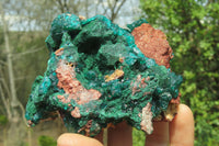 Natural Dioptase & Malachite Dolomite Specimen x 1 From Congo