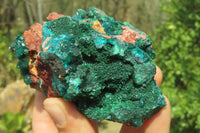 Natural Dioptase & Malachite Dolomite Specimen x 1 From Congo