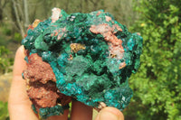 Natural Dioptase & Malachite Dolomite Specimen x 1 From Congo