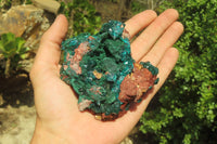 Natural Dioptase & Malachite Dolomite Specimen x 1 From Congo