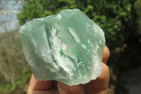 Natural Jade Cobbed Specimens x 24 From Swaziland