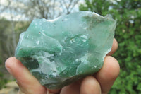 Natural Jade Cobbed Specimens x 24 From Swaziland