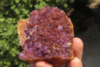 Natural Amethystos Amethyst Plates x 6 From Kwaggafontein, South Africa