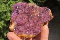 Natural Amethystos Amethyst Plates x 6 From Kwaggafontein, South Africa