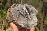 Natural Bladed Barite Specimens x 4 From Tenke Fungurume, Congo