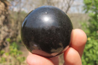 Polished Black Basalt Spheres x 12 From Madagascar