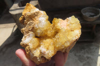 Natural Golden Limonite Quartz Clusters x 6 From Zambia