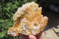 Natural Golden Limonite Quartz Clusters x 6 From Zambia