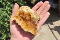 Natural Golden Limonite Quartz Clusters x 6 From Zambia