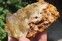 Natural Golden Limonite Quartz Clusters x 6 From Zambia