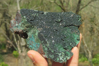 Natural Libethenite Crystals On Dolomite Matrix Specimens x 3 From Shituru, Congo