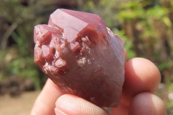 Natural Red Hematoid Quartz Specimens x 35 From Karoi, Zimbabwe